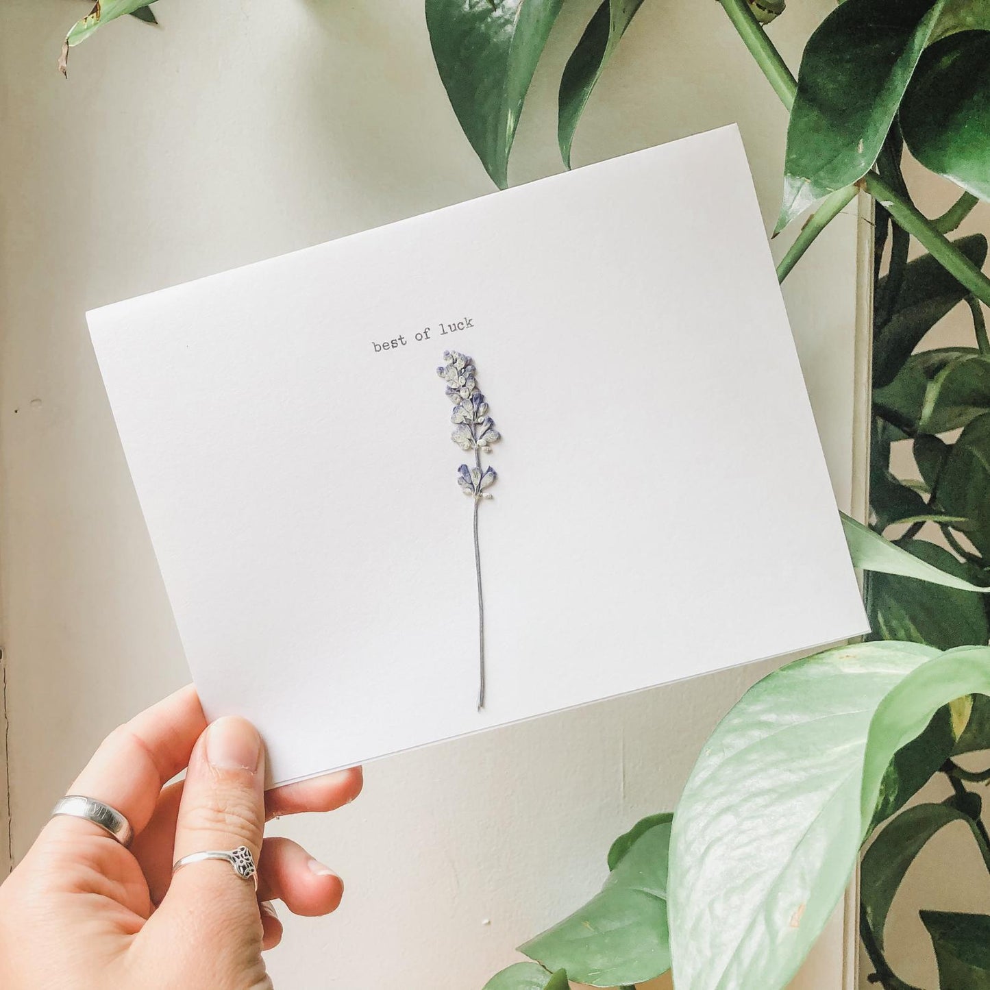 best of luck greeting card