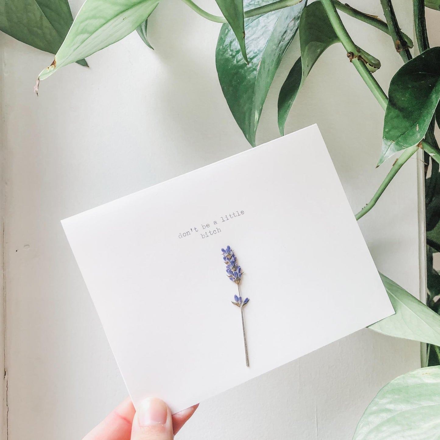 don't be a little bitch greeting card