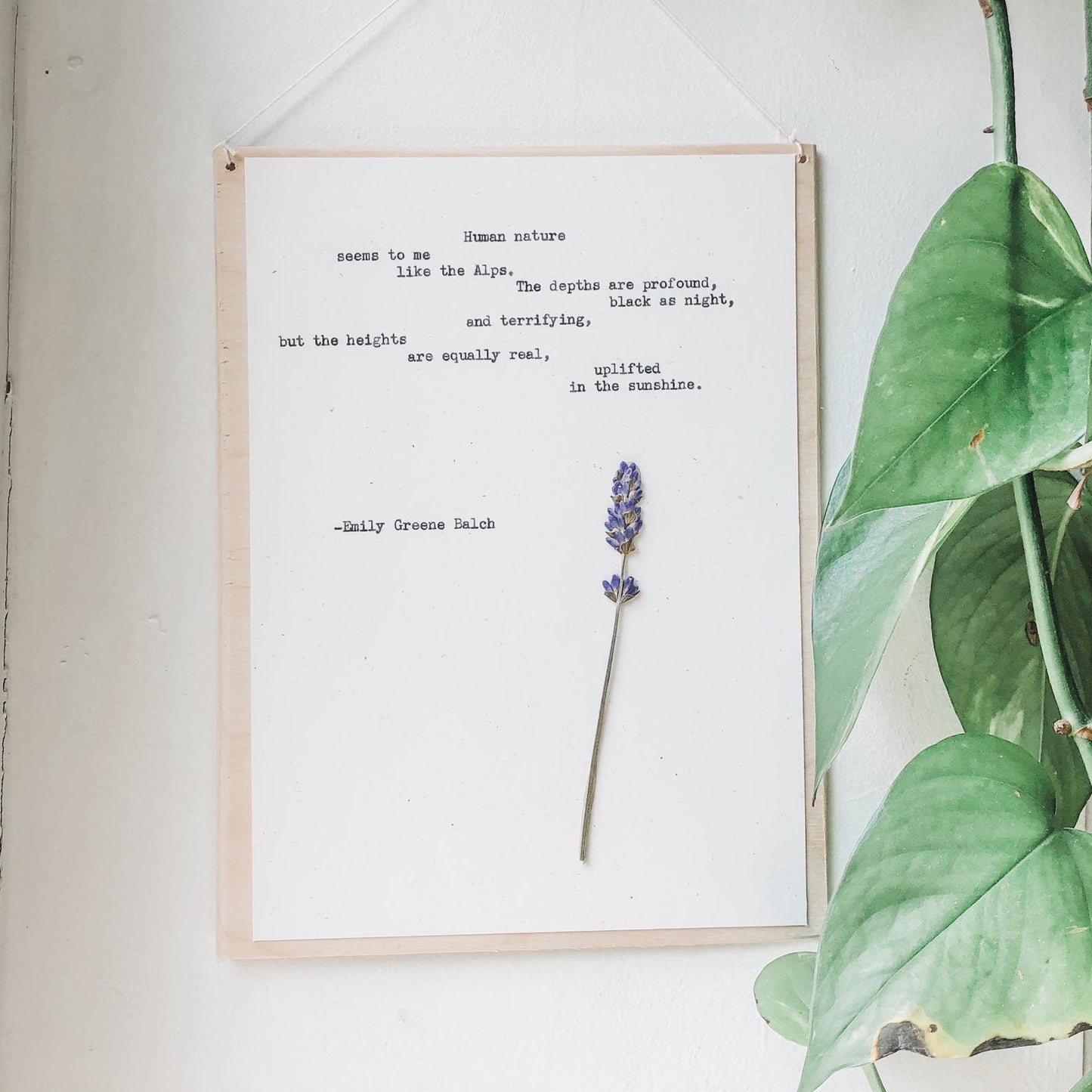 emily greene balch, human nature seems to me like the alps