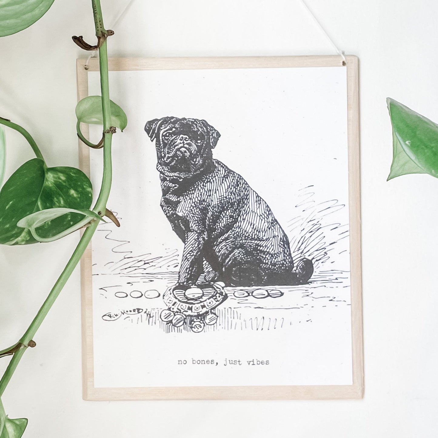 no bones day - #flora & phrase#