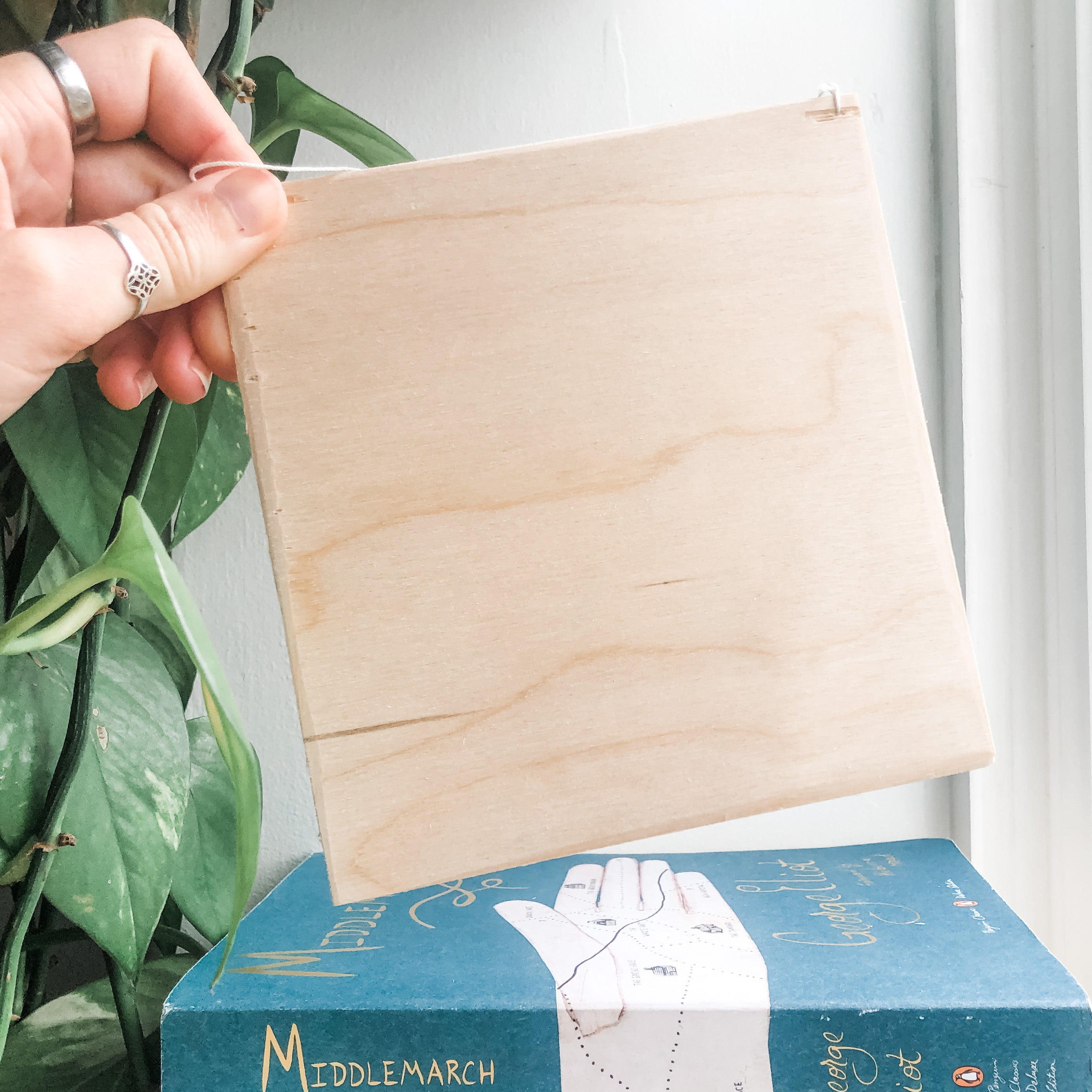 tomicia blunt, morning dew