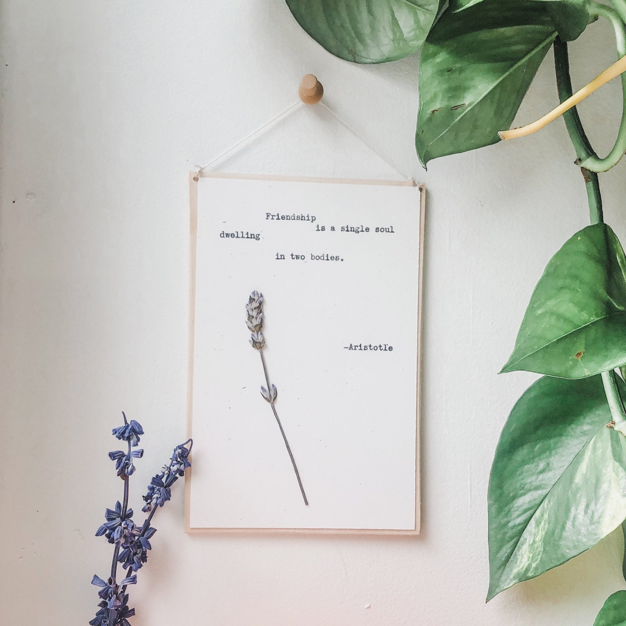 aristotle, friendship is a single soul dwelling in two bodies