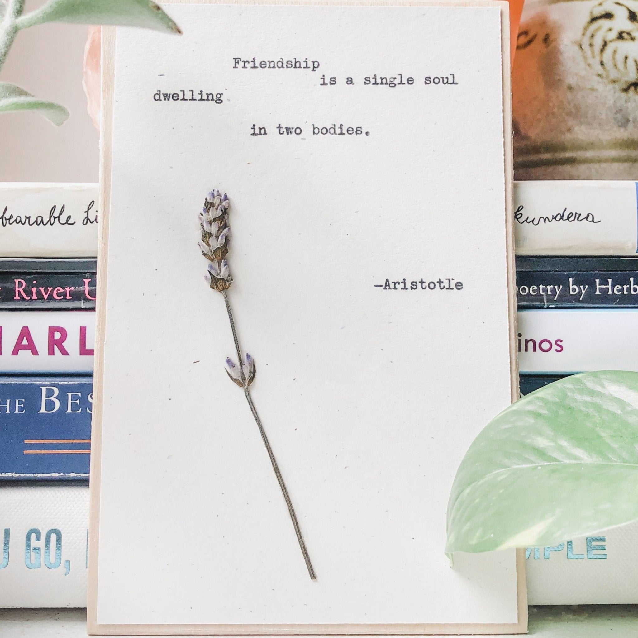 aristotle, friendship is a single soul dwelling in two bodies