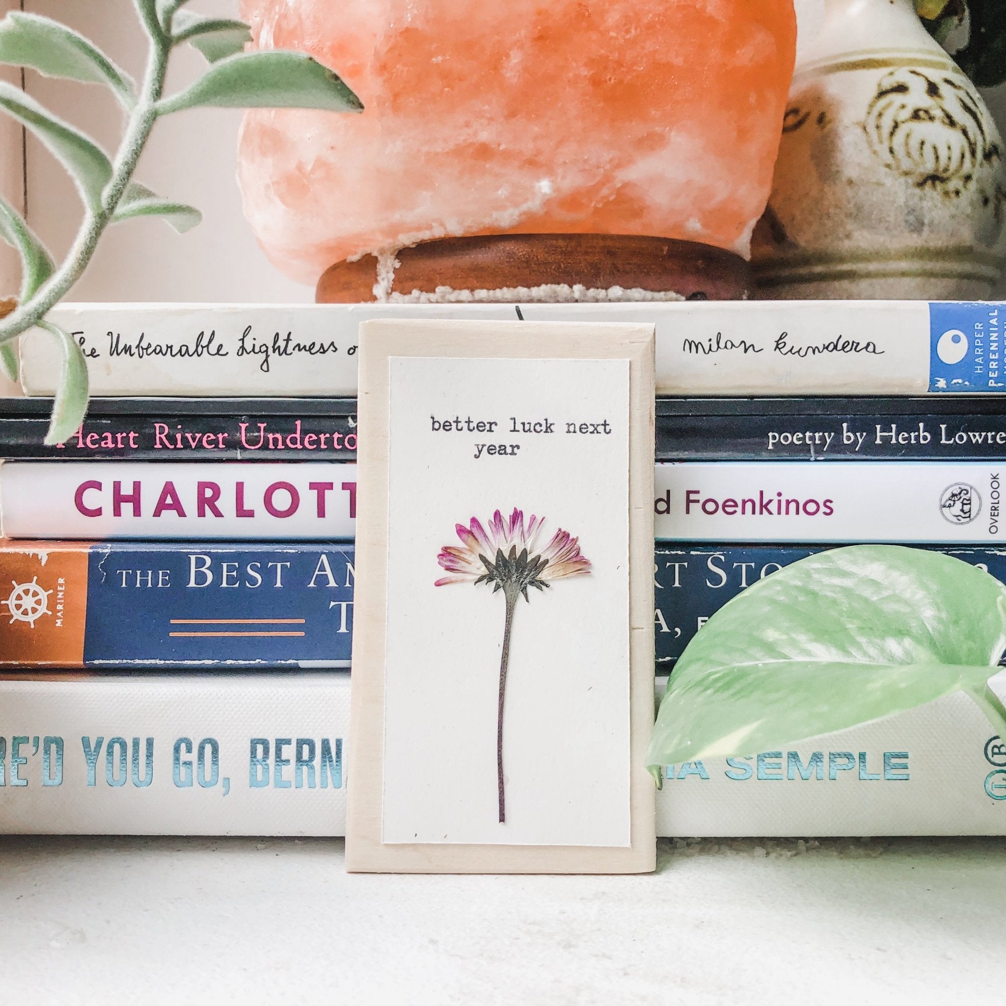 better luck next year