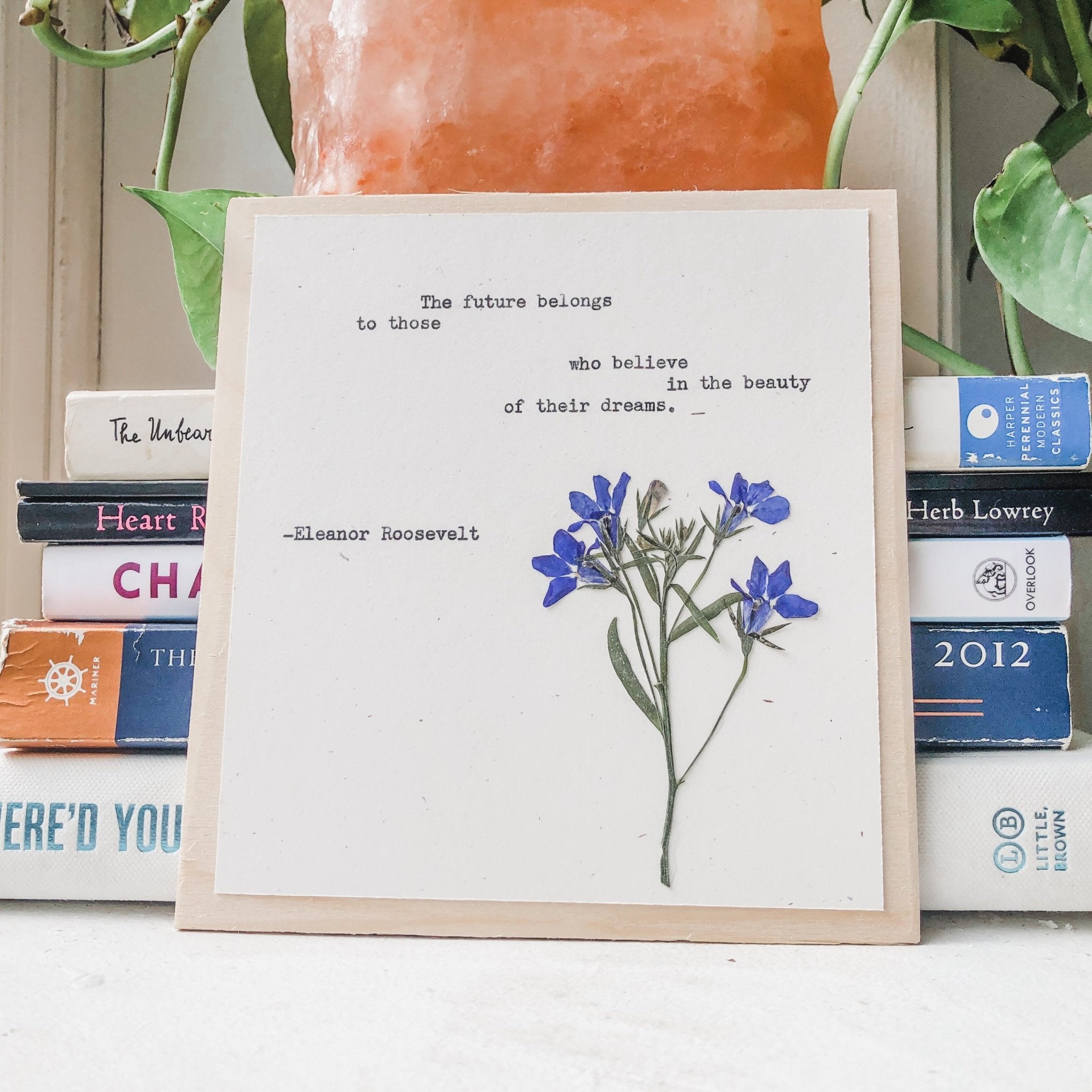 eleanor roosevelt, the future belongs to those who believe in the beauty of their dreams