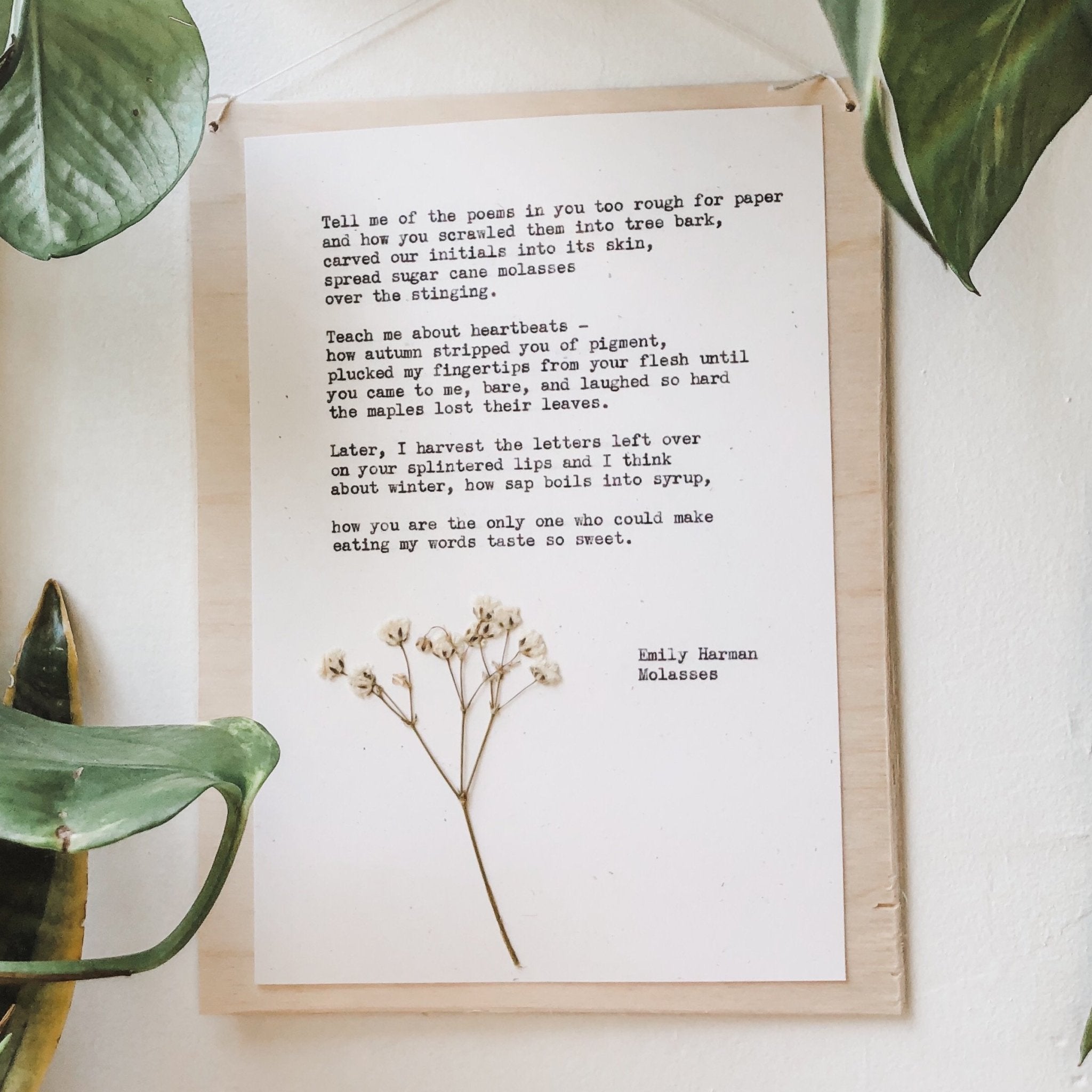 emily harman, molasses