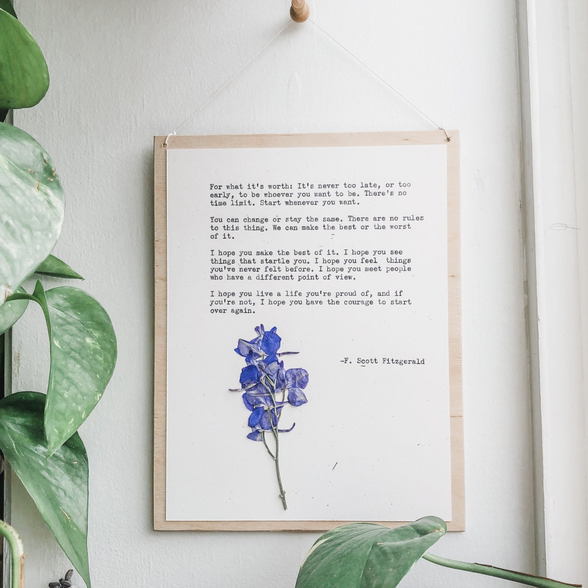 f scott fitzgerald, for what it's worth