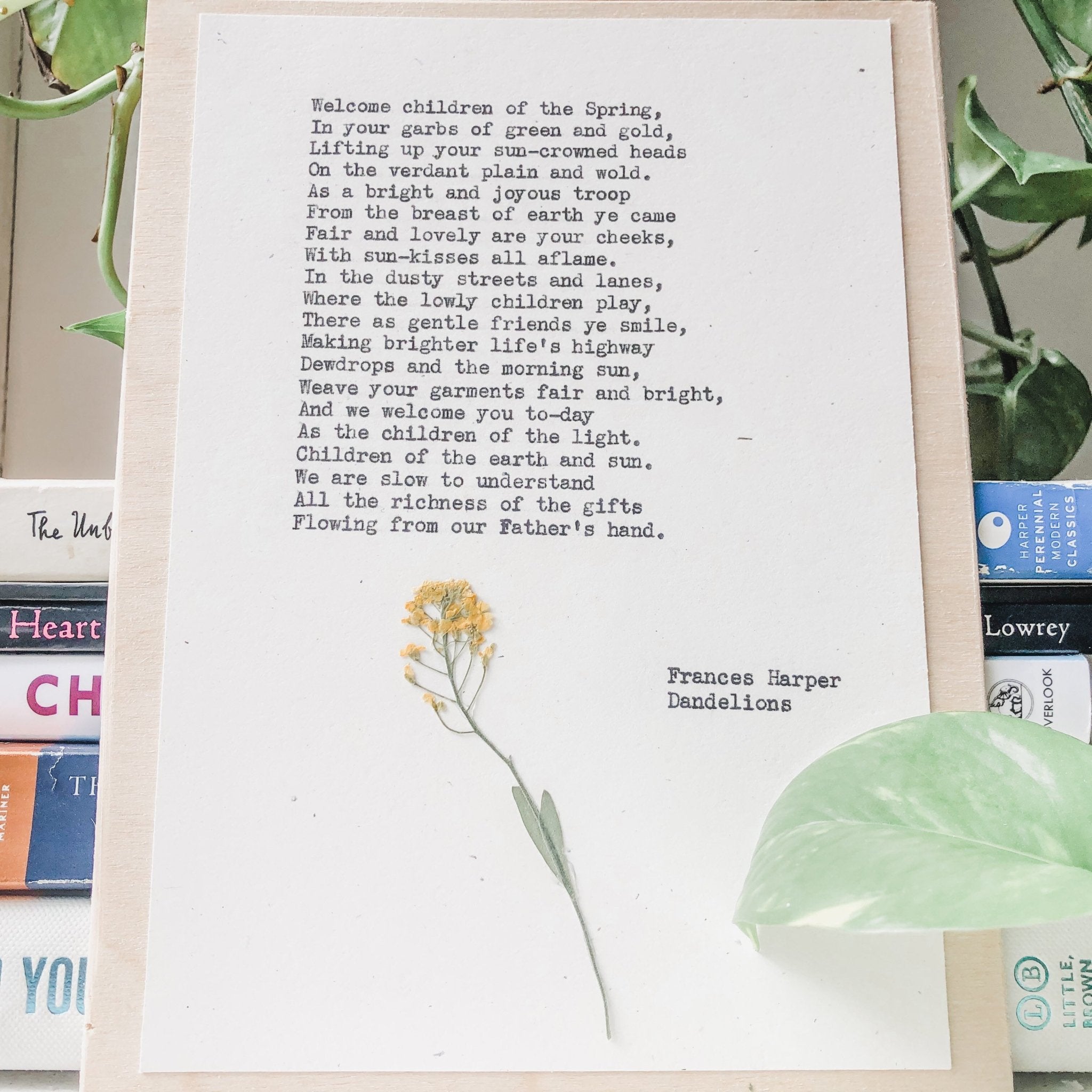 frances harper, dandelions