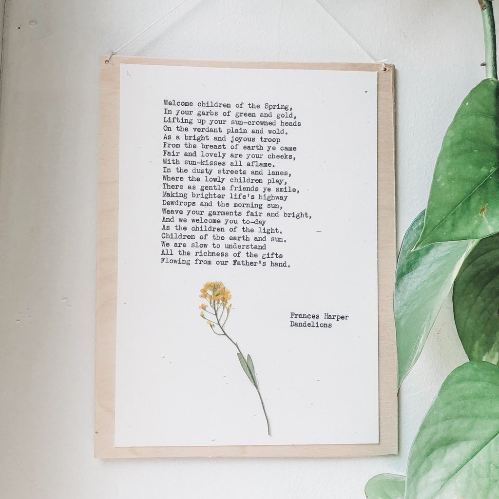 frances harper, dandelions