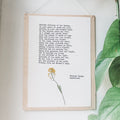 frances harper, dandelions