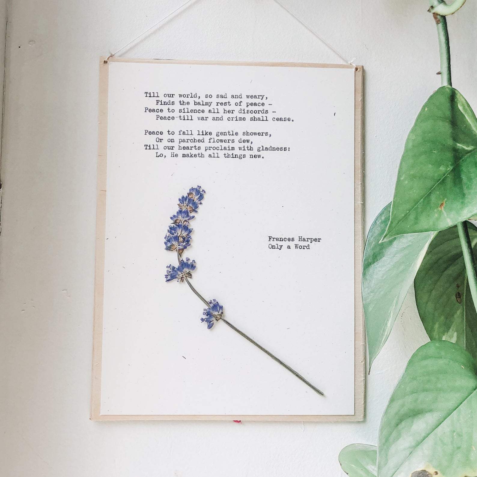 frances harper, only a word