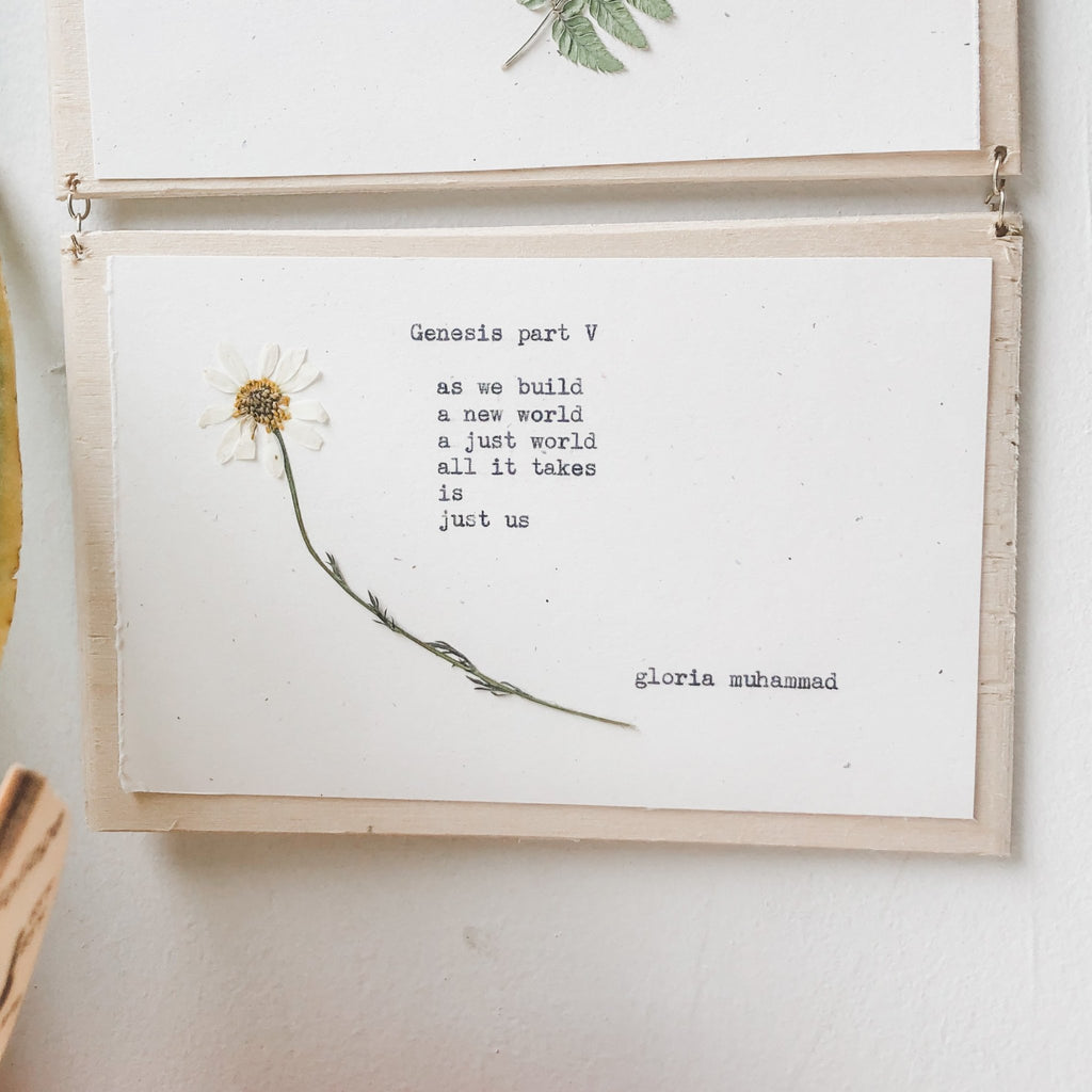 joy muhammad, genesis I - V