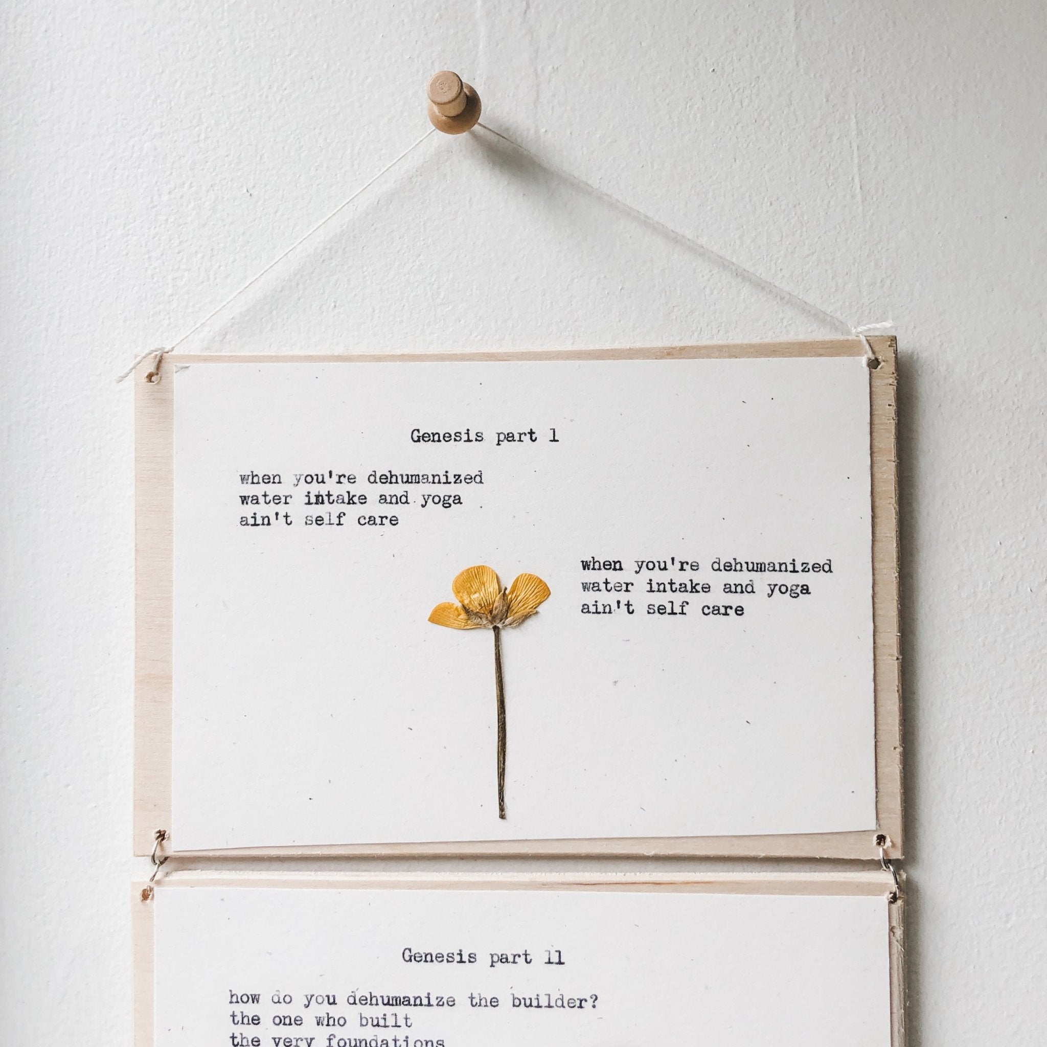 joy muhammad, genesis I - V