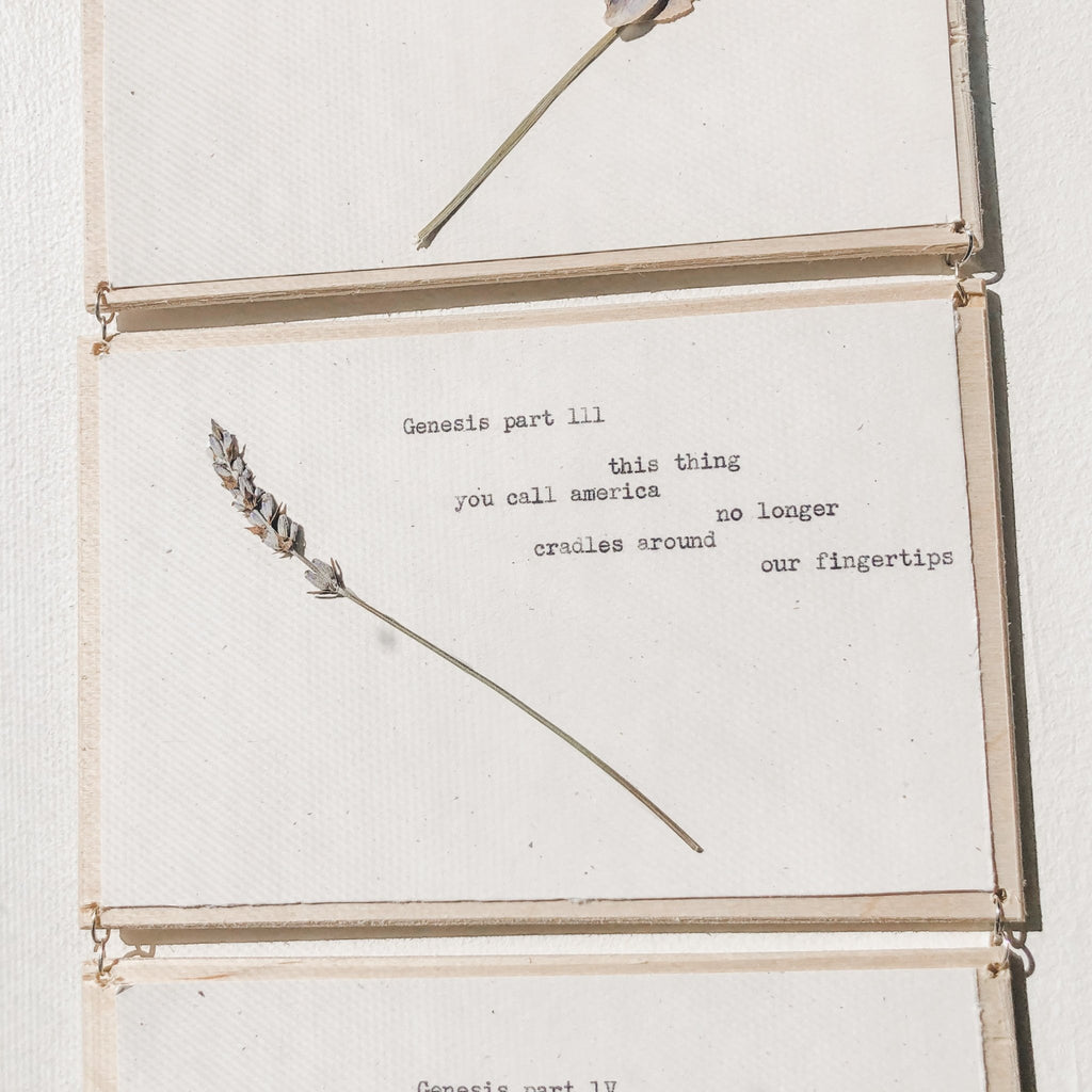 joy muhammad, genesis I - V