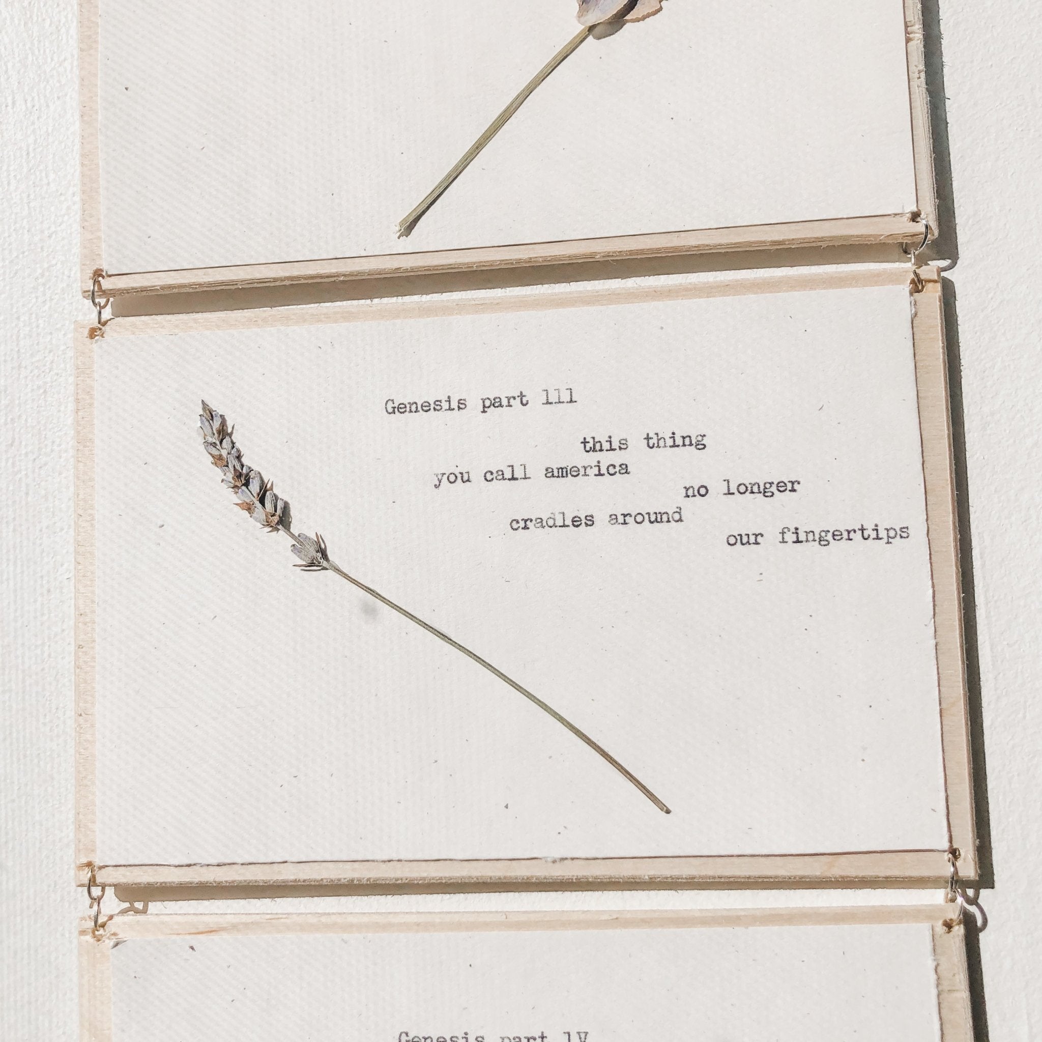 joy muhammad, genesis I - V