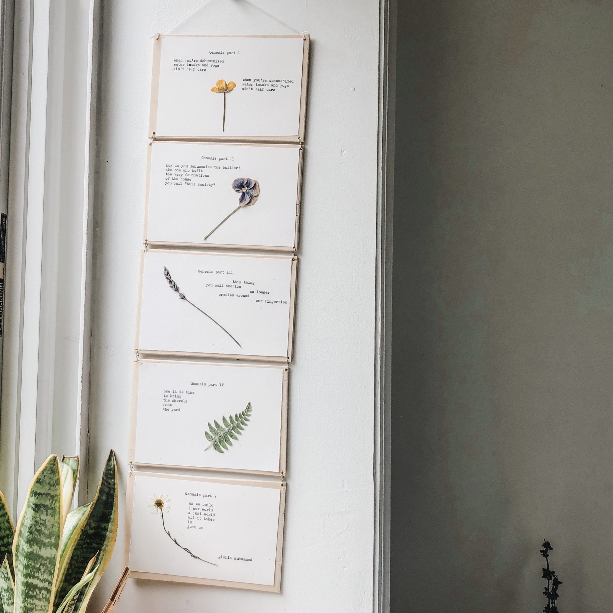 joy muhammad, genesis I - V