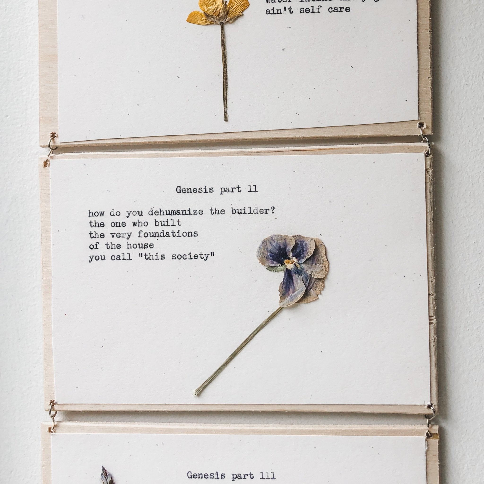 joy muhammad, genesis I - V