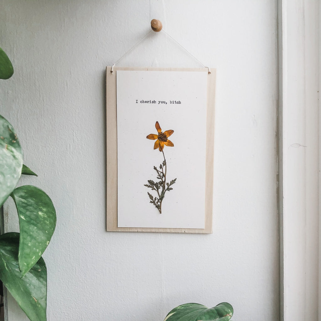 I cherish you, bitch