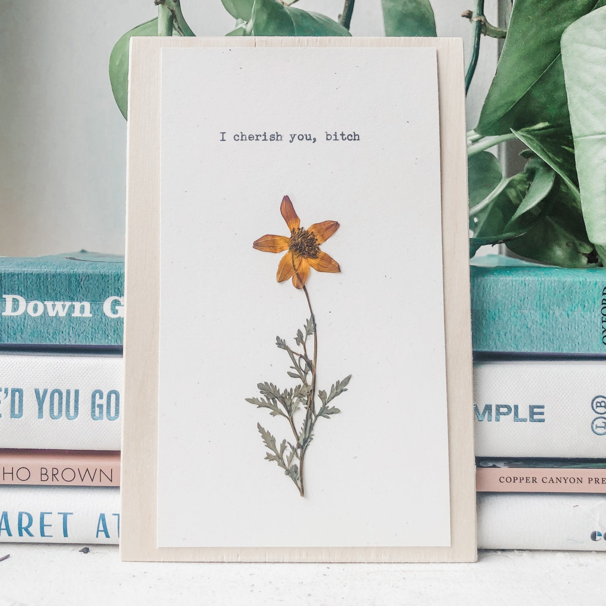 I cherish you, bitch