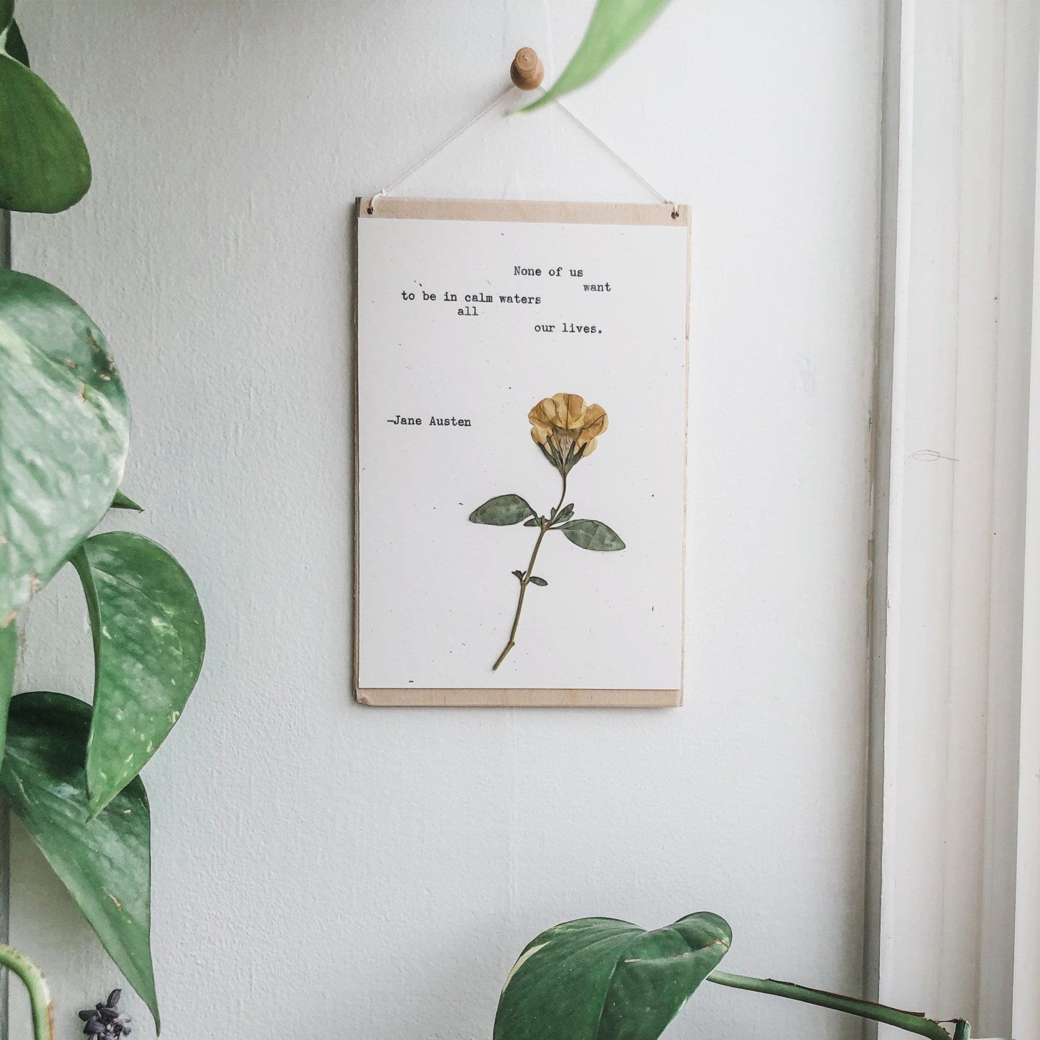 jane austen, calm waters