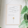 josephine st pierre ruffin, we need to feel the cheer and inspiration of meeting each other