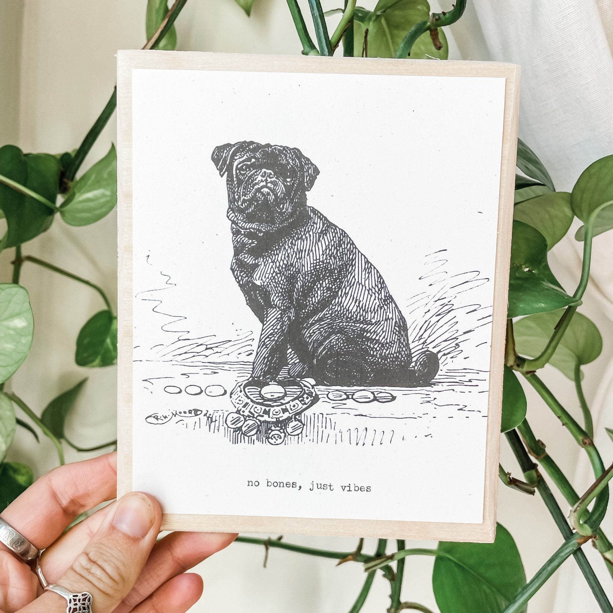 no bones day - #flora & phrase#