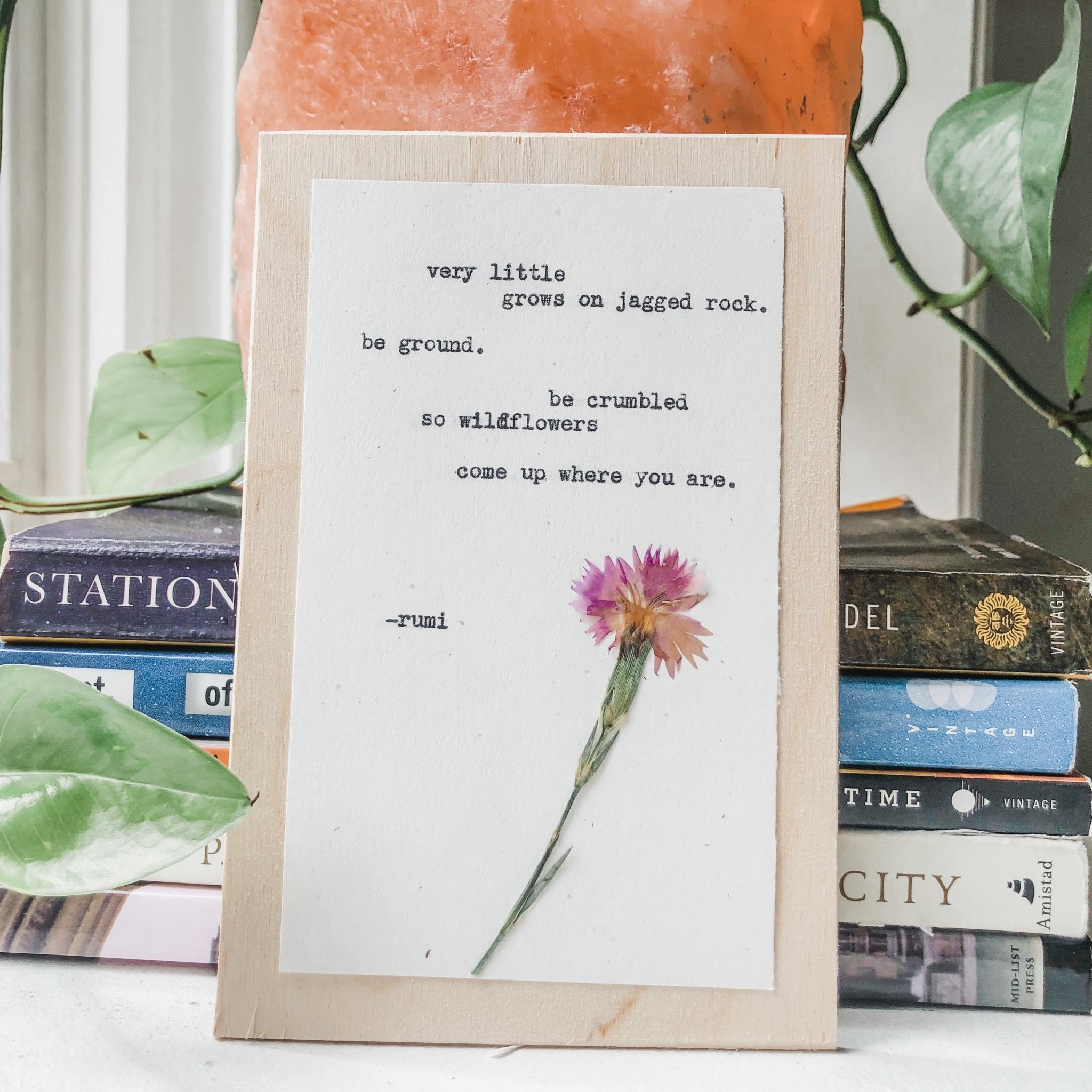 rumi, very little grows on jagged rock