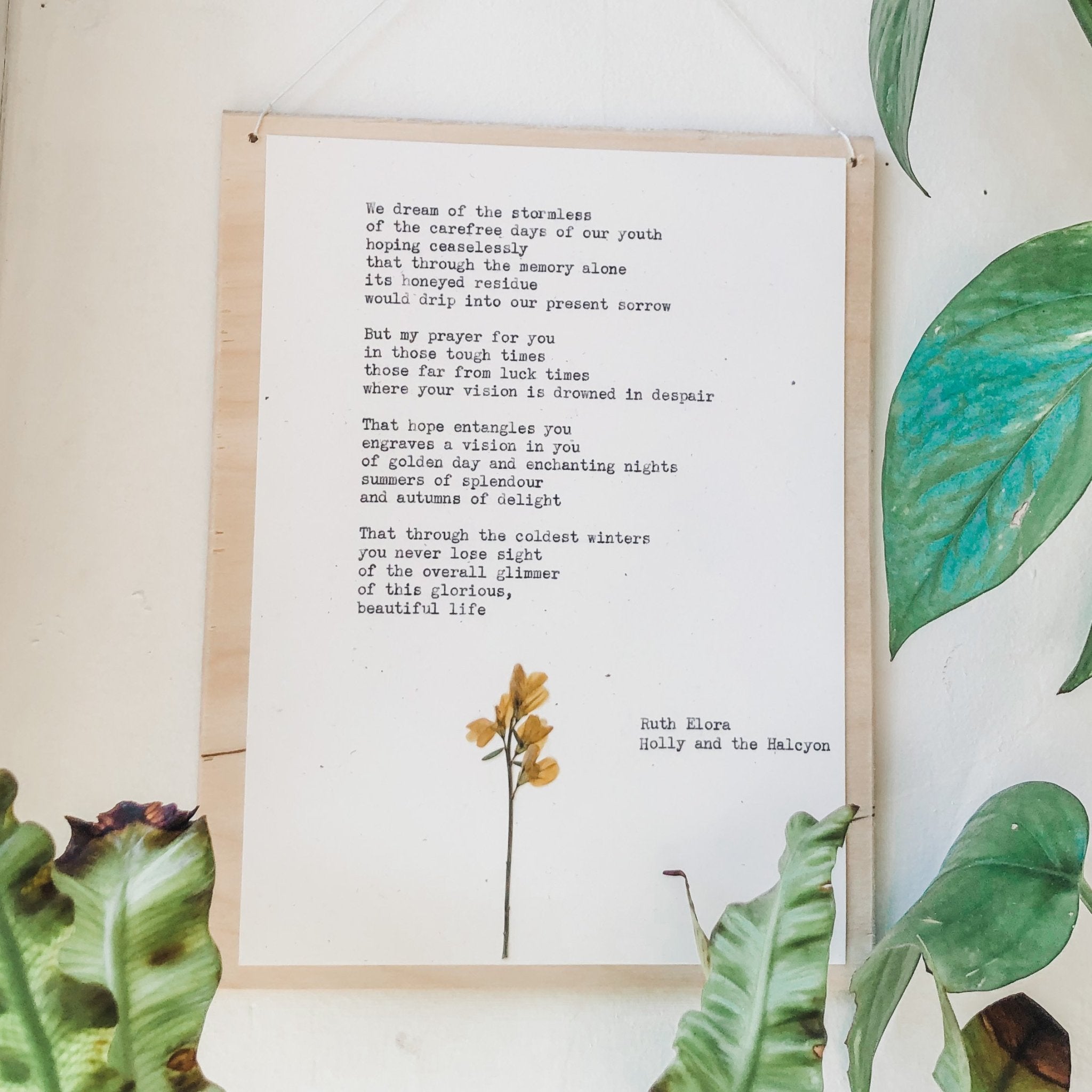 ruth elora, holly and halcyon