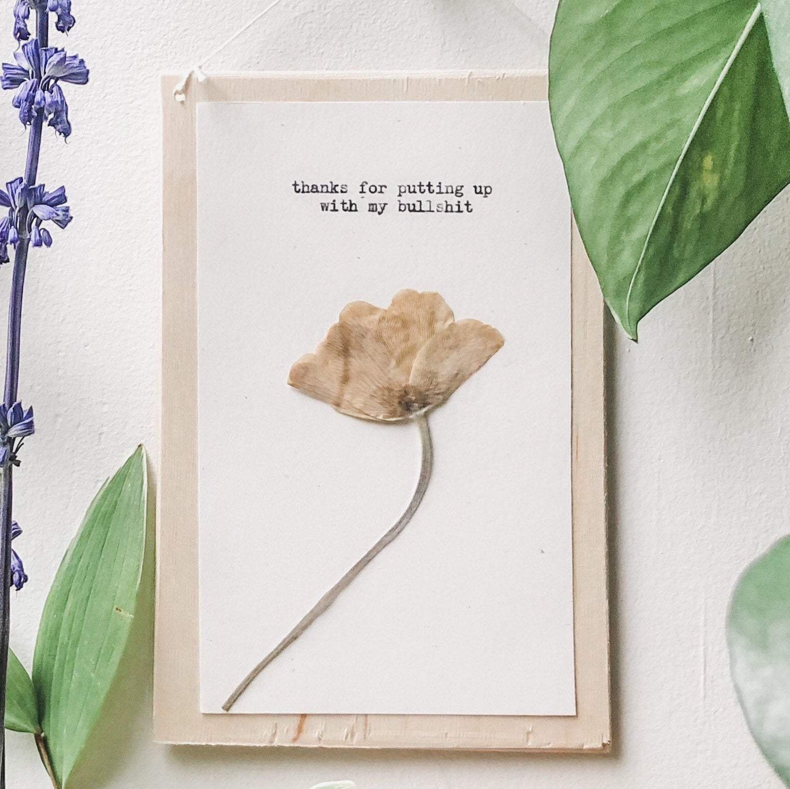 thanks for putting up with my bullshit