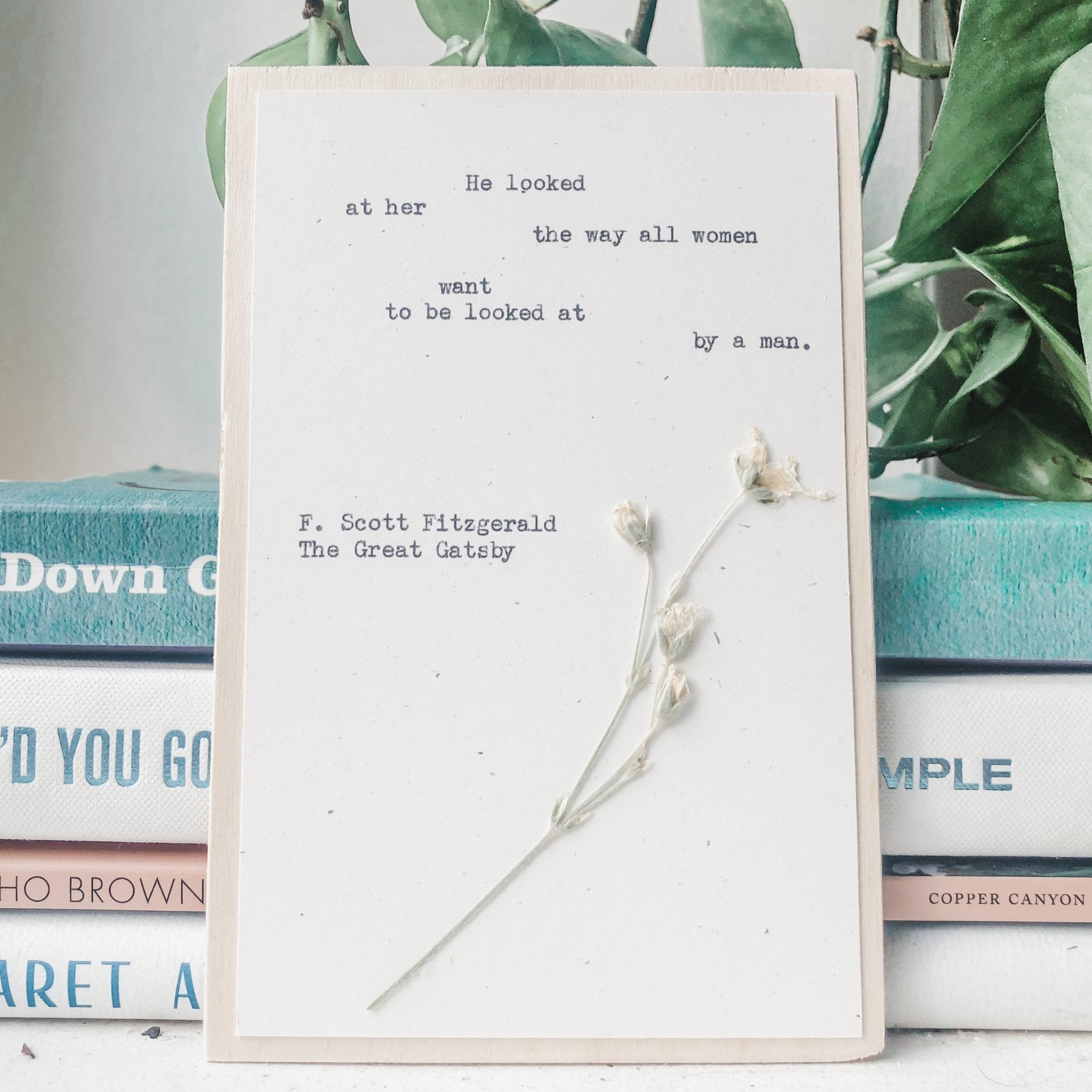 the great gatsby, he looked at her