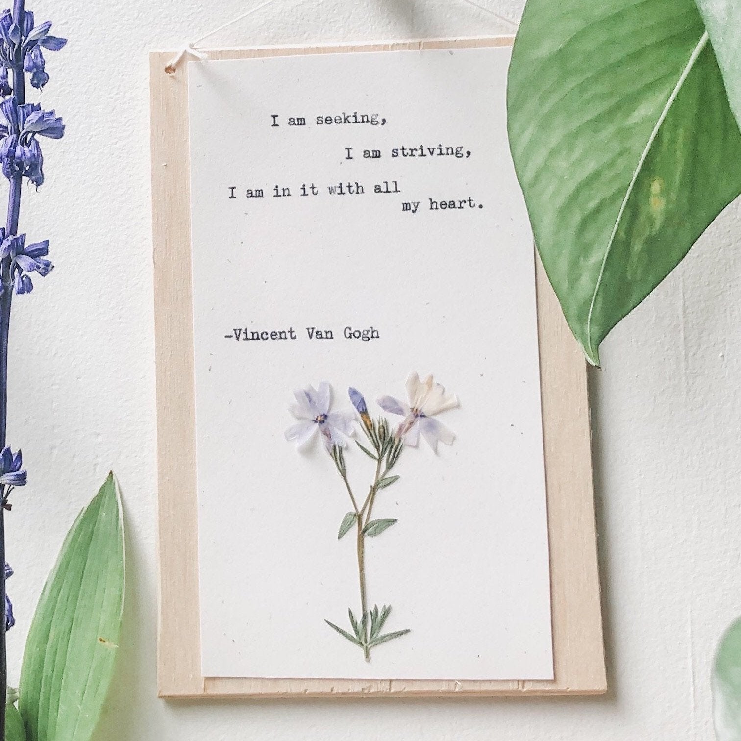 vincent van gogh, I am seeking