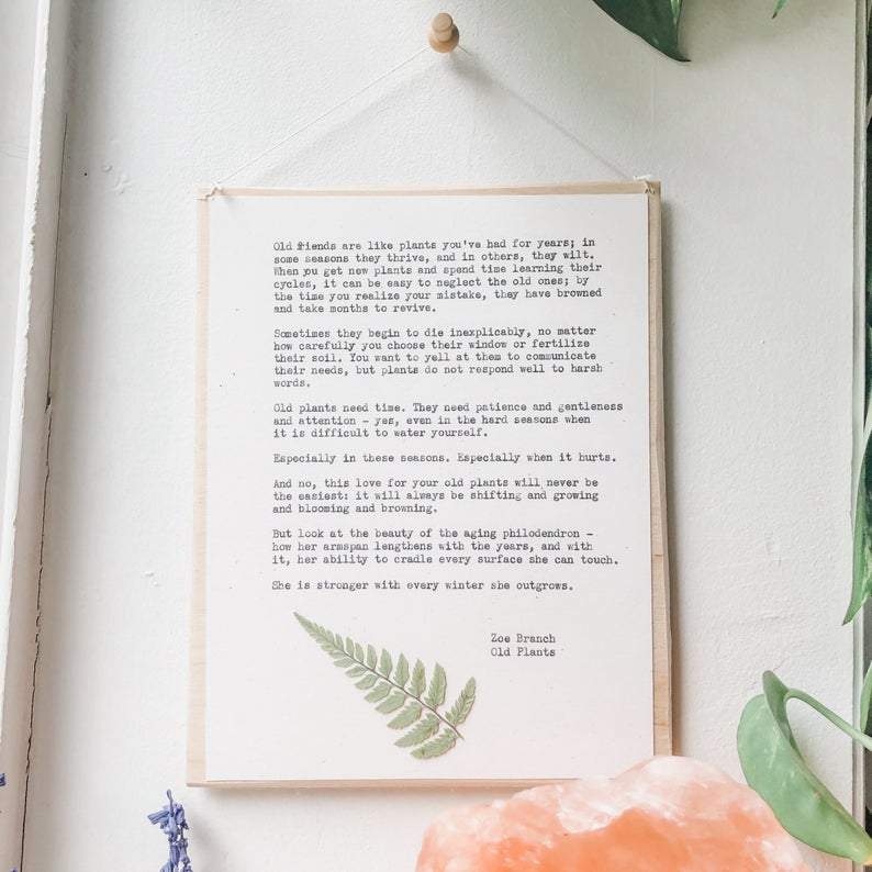 zoe branch, old plants