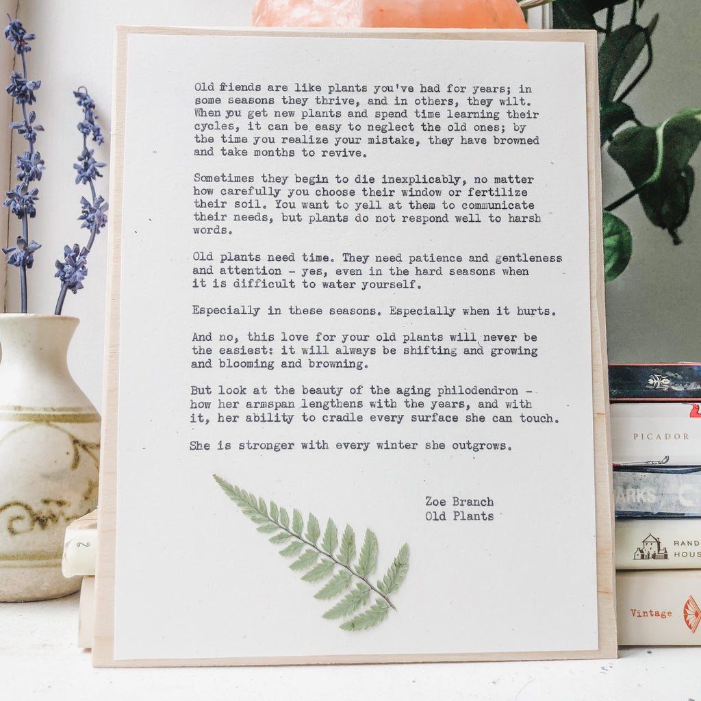 zoe branch, old plants