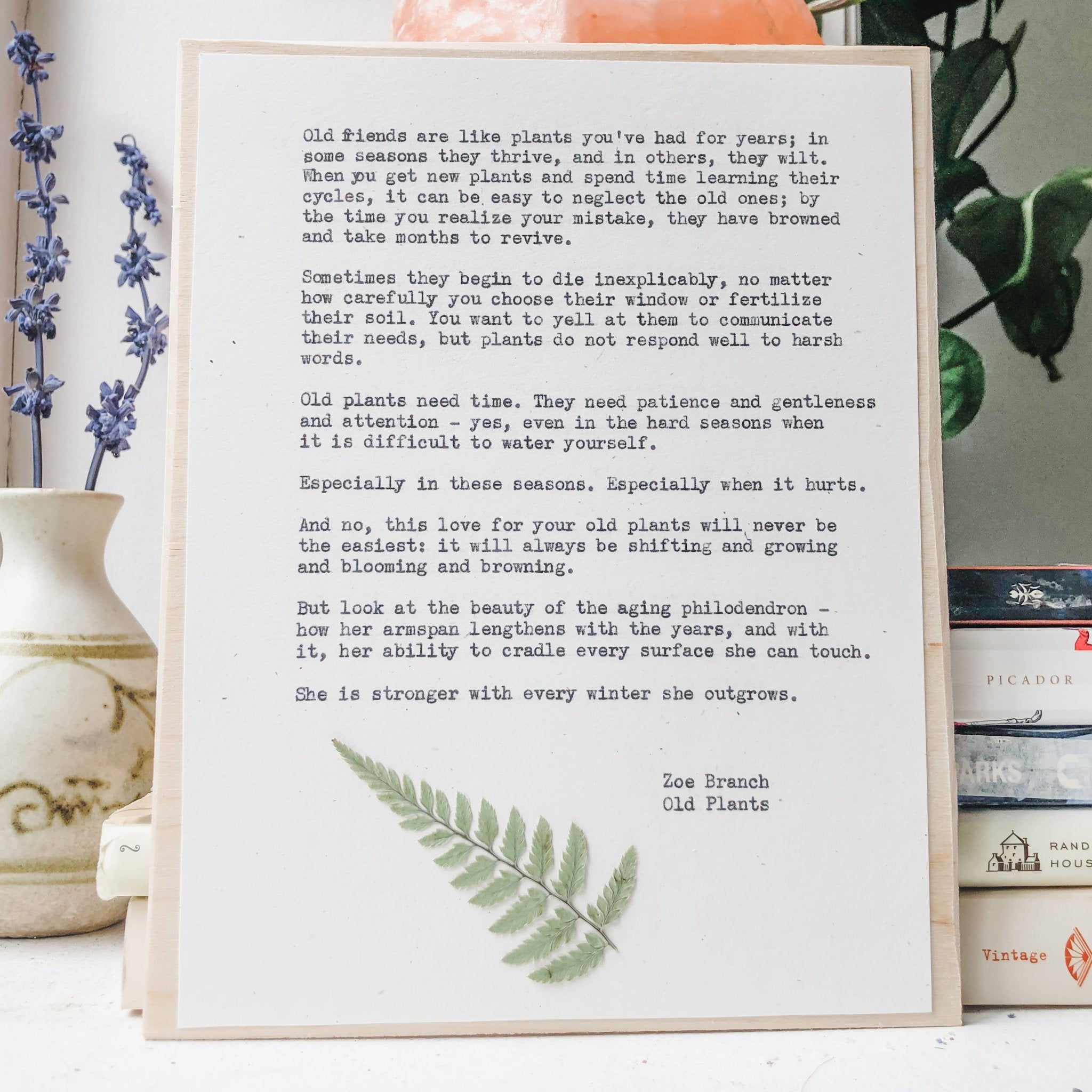 zoe branch, old plants