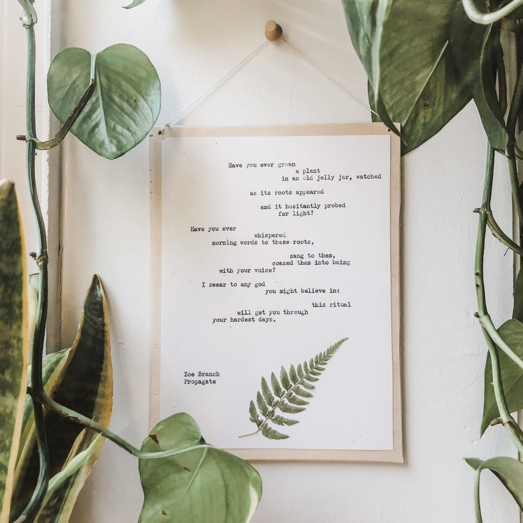 zoe branch, propagate