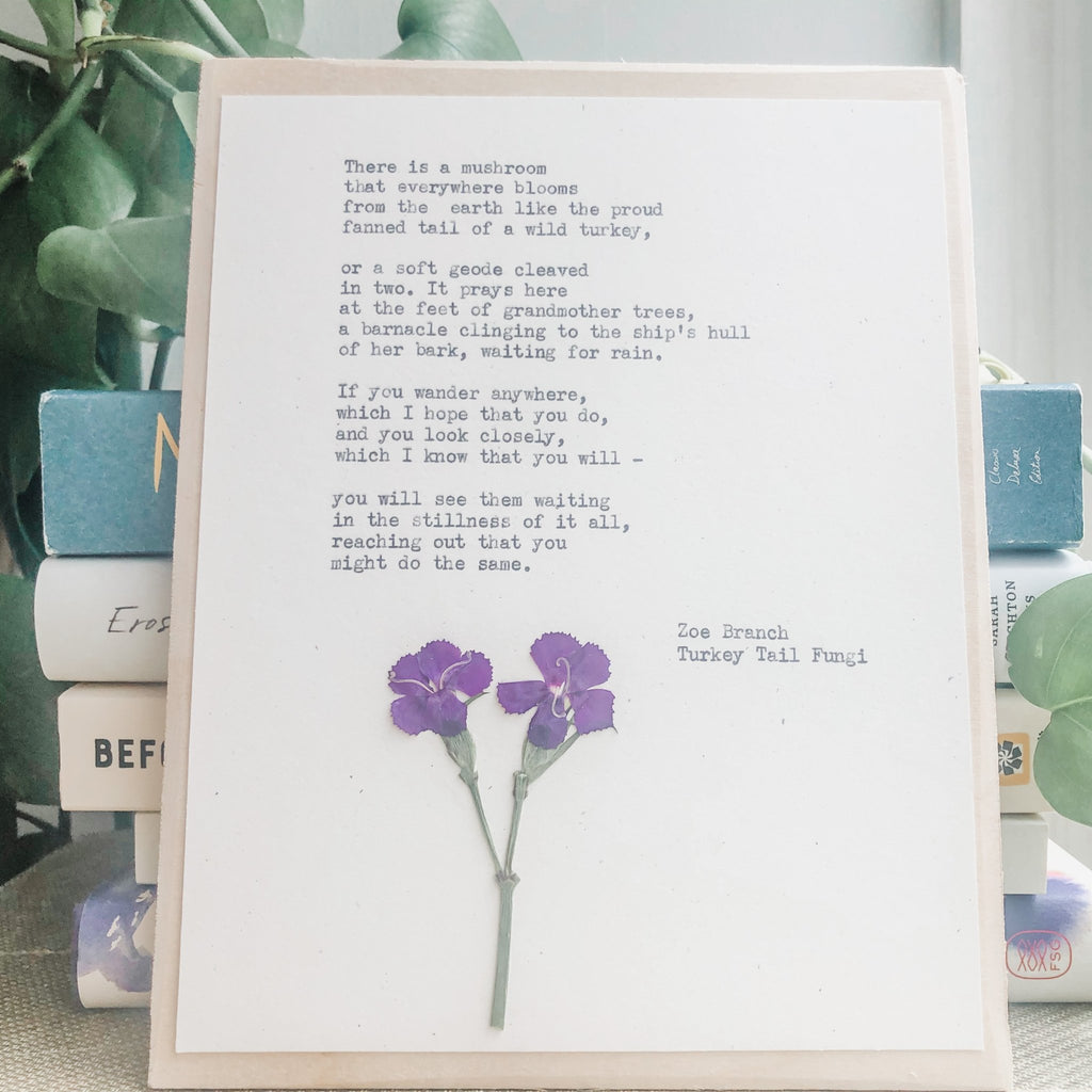 zoe branch, turkey tail fungi